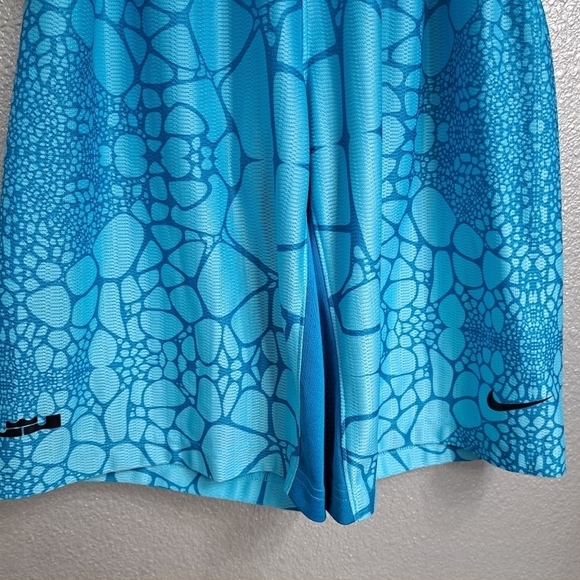 Vintage Nike LeBron James Witness Dri Fit Youth Basketball Shorts    Size L - Picture 3 of 12